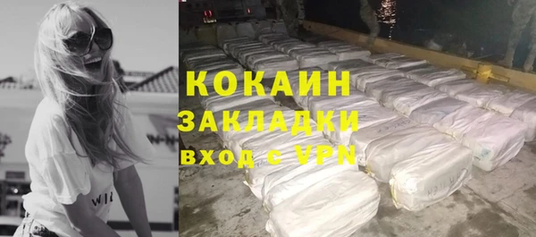 хмурый Алзамай