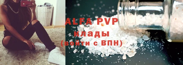 хмурый Алзамай