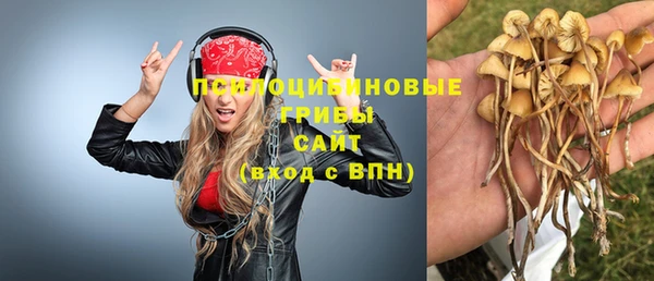 хмурый Алзамай